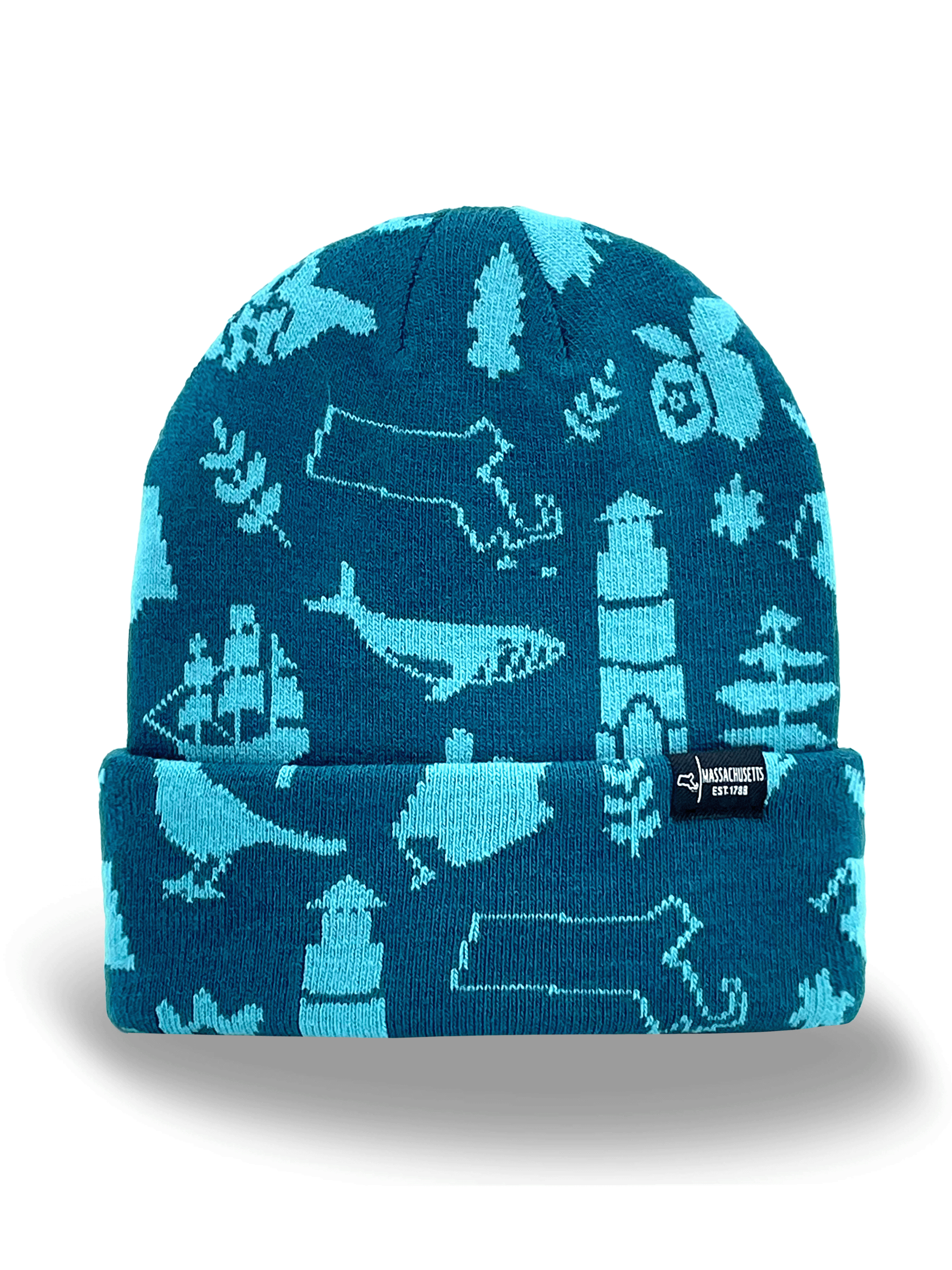 Massachusetts Icons Knit Beanie