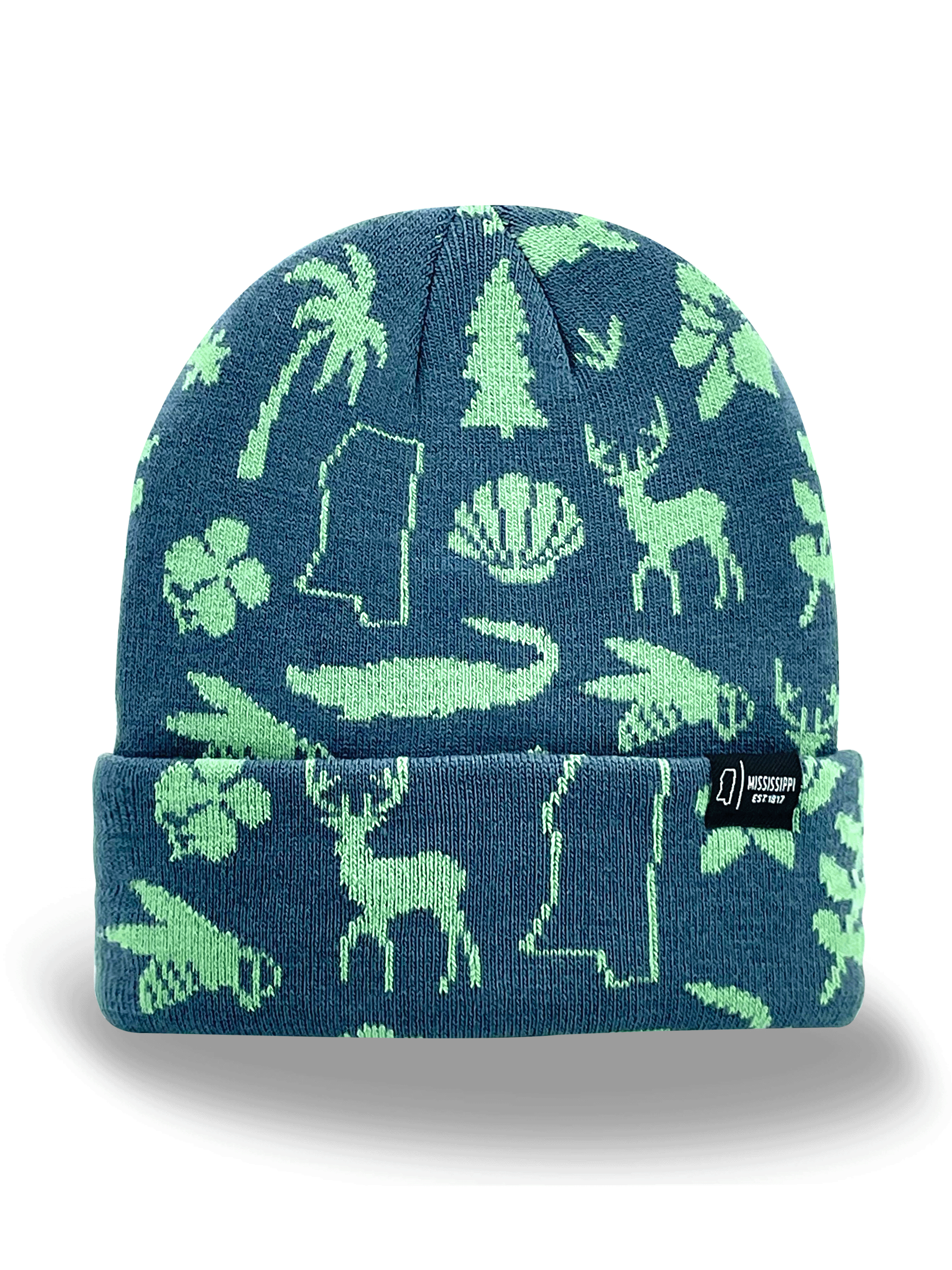 Mississippi Icons Knit Beanie