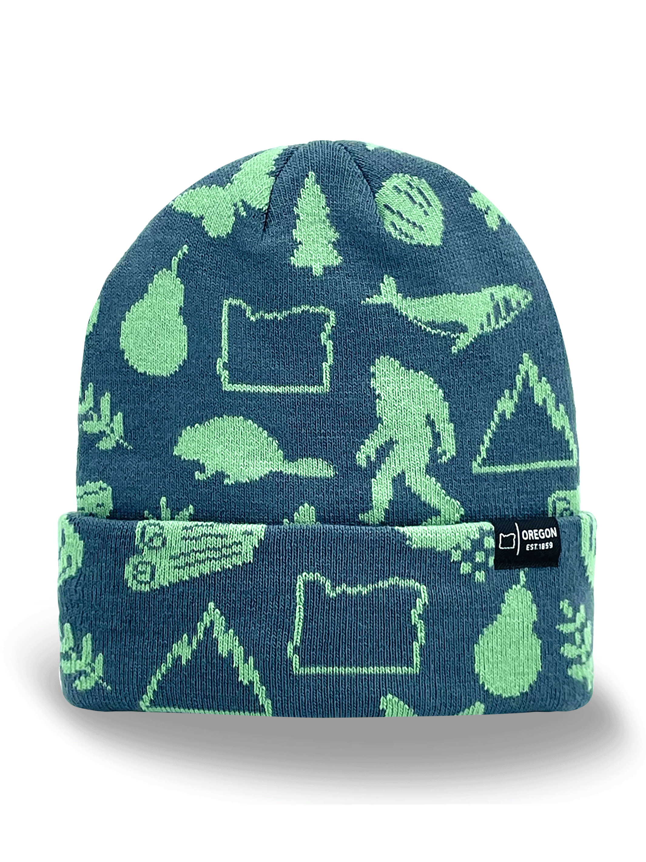 Oregon Icons Knit Beanie