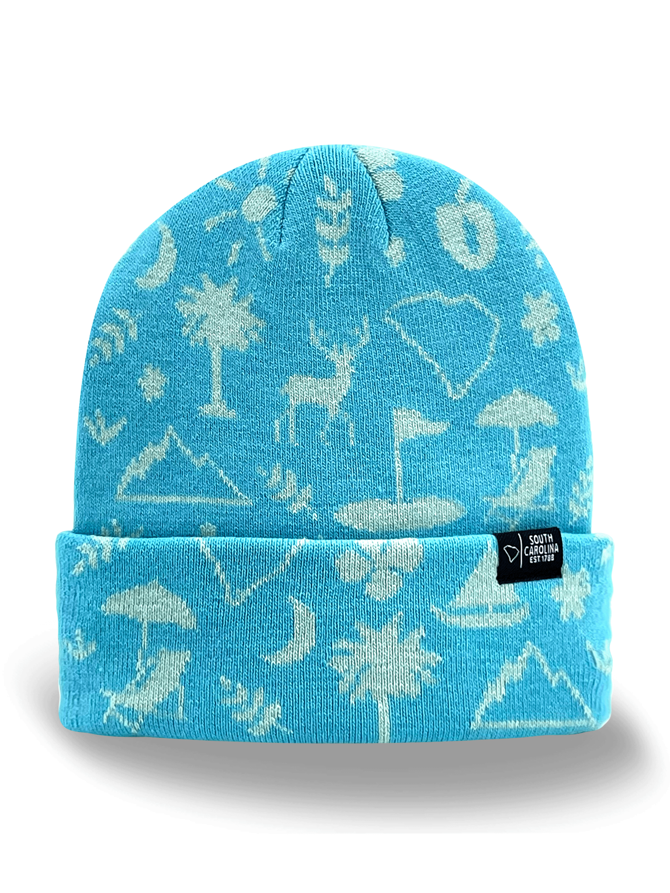 South Carolina Icons Knit Beanie