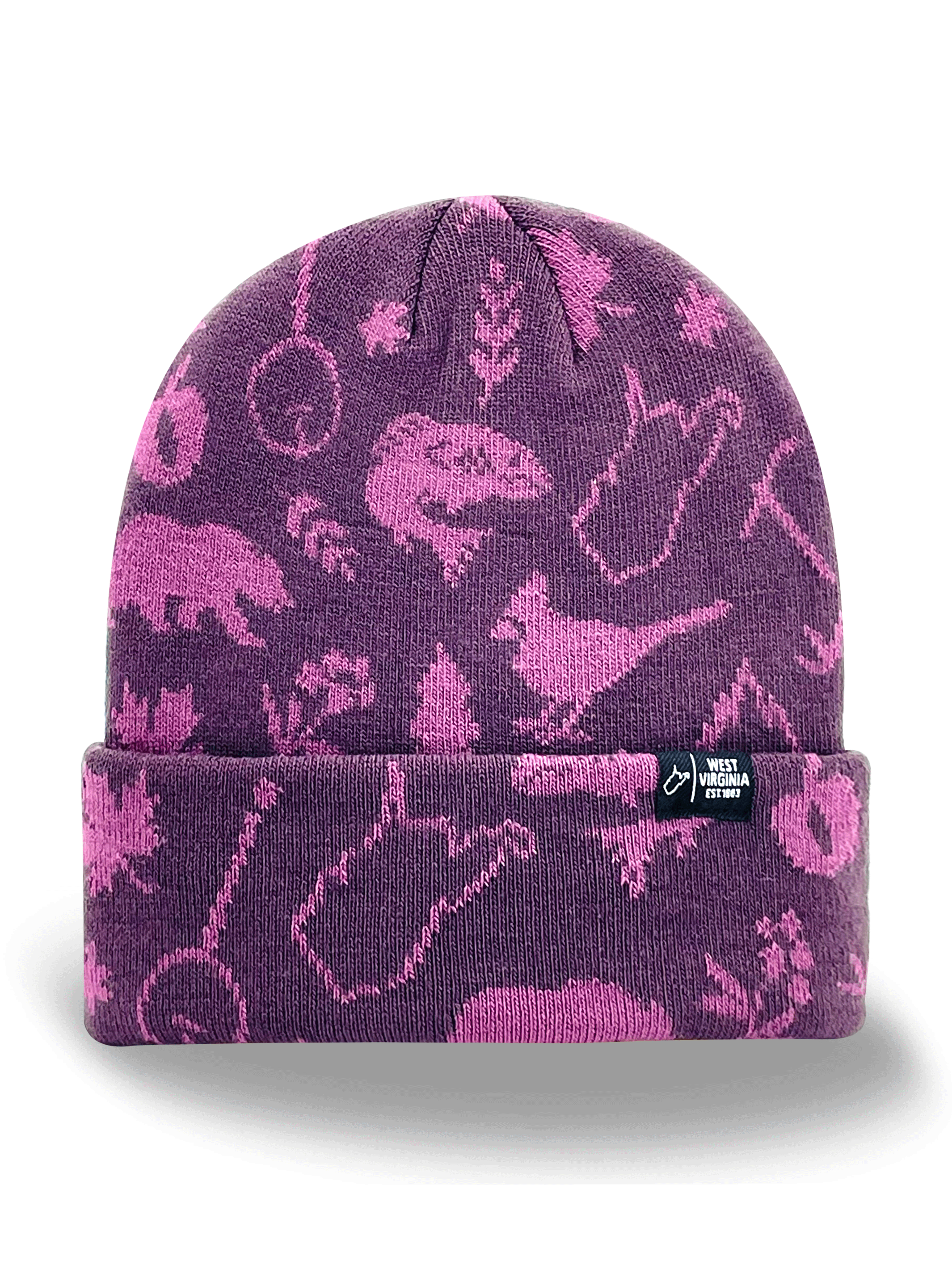 West Virginia Icons Knit Beanie