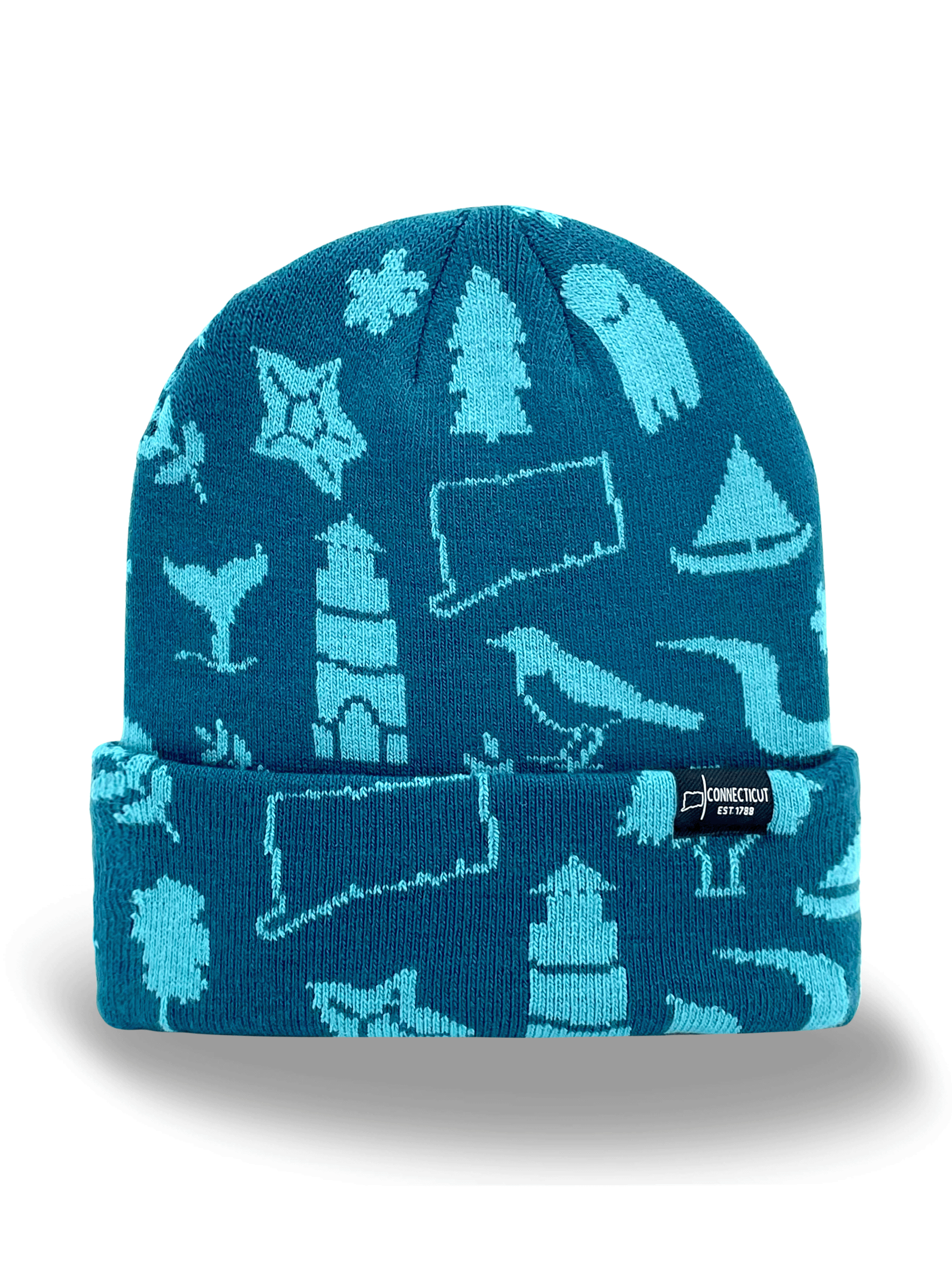 Connecticut Icons Knit Beanie