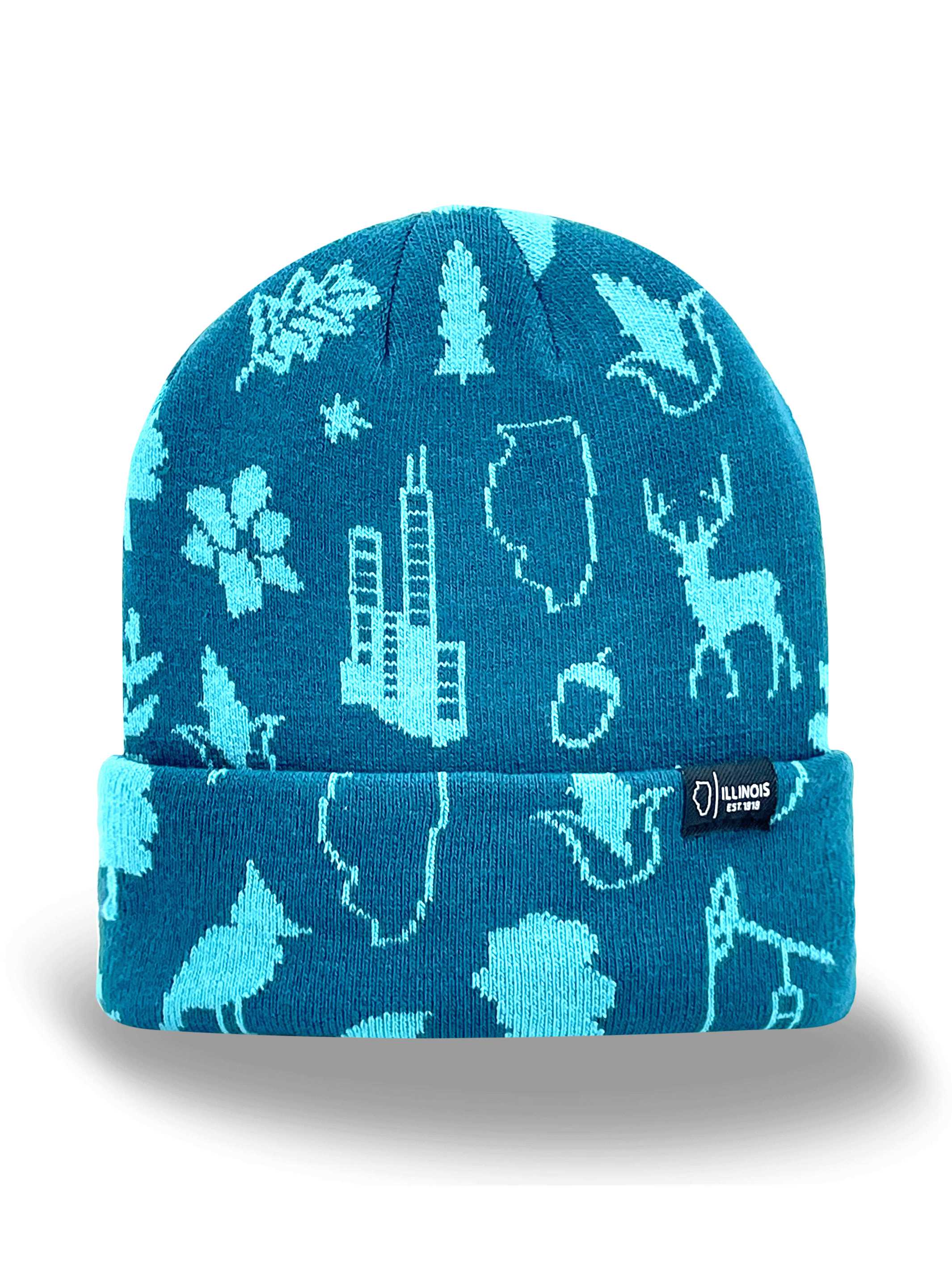 Illinois Icons Knit Beanie