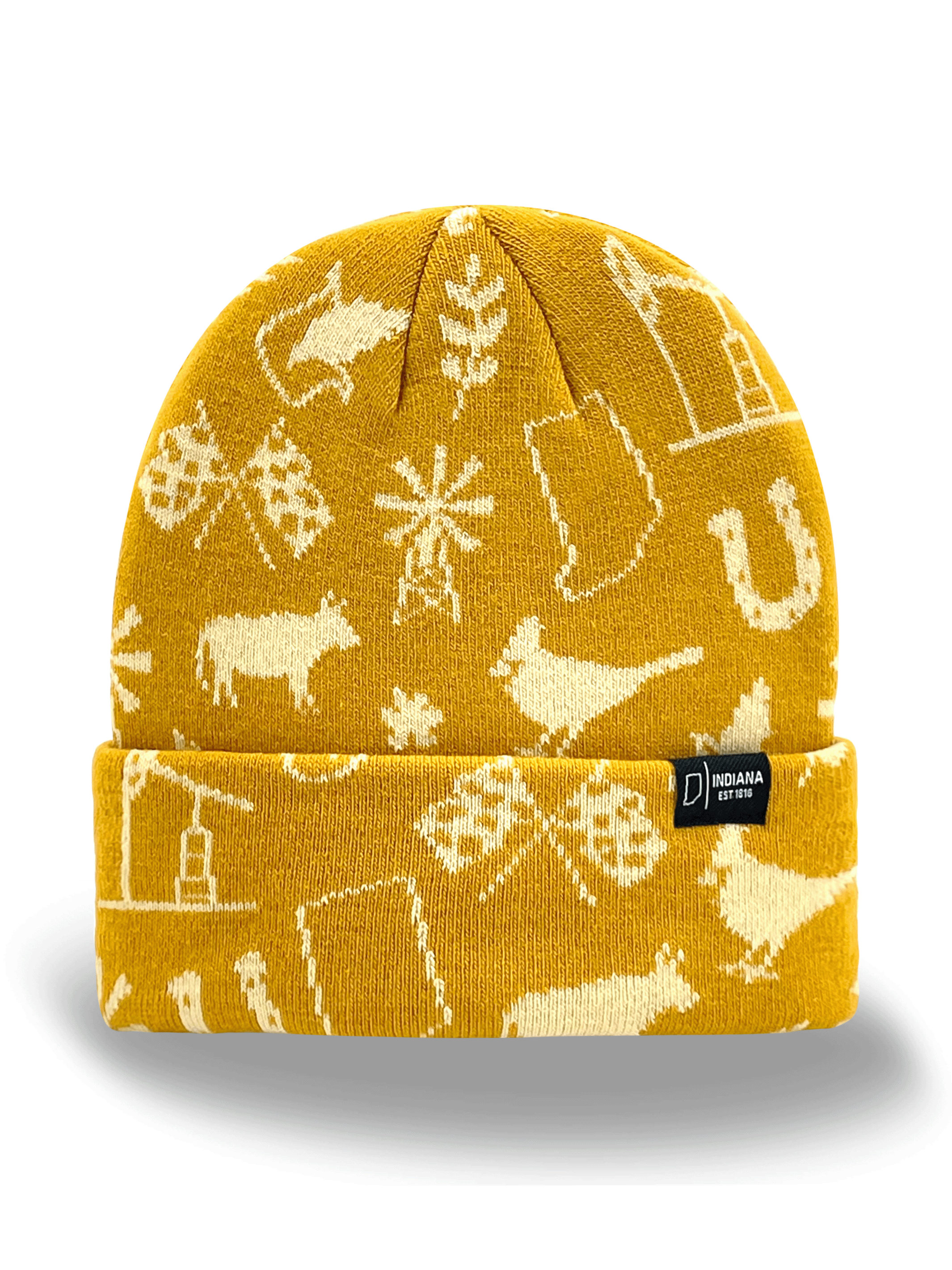 Indiana Icons Knit Beanie