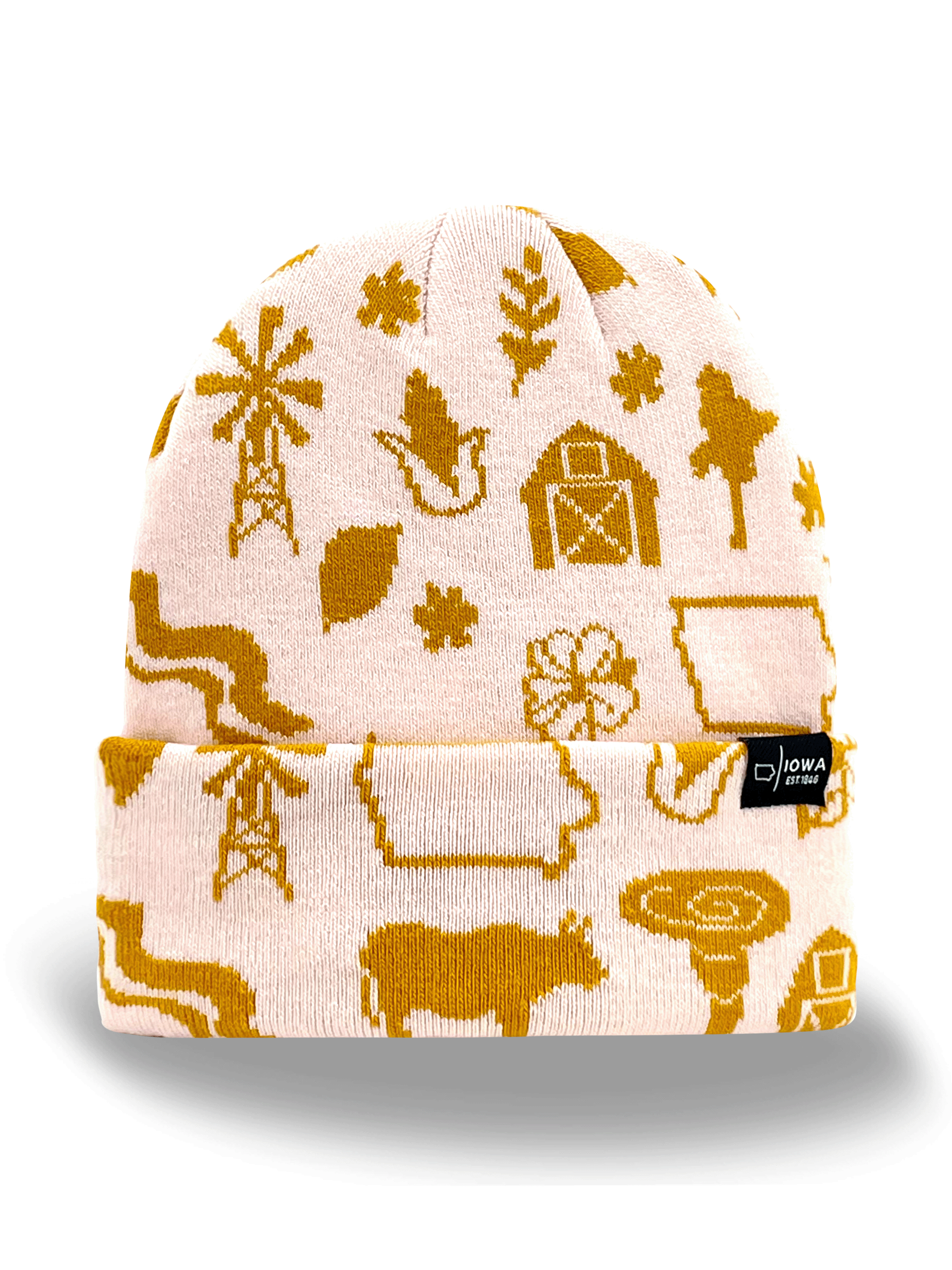 Iowa Icons Knit Beanie