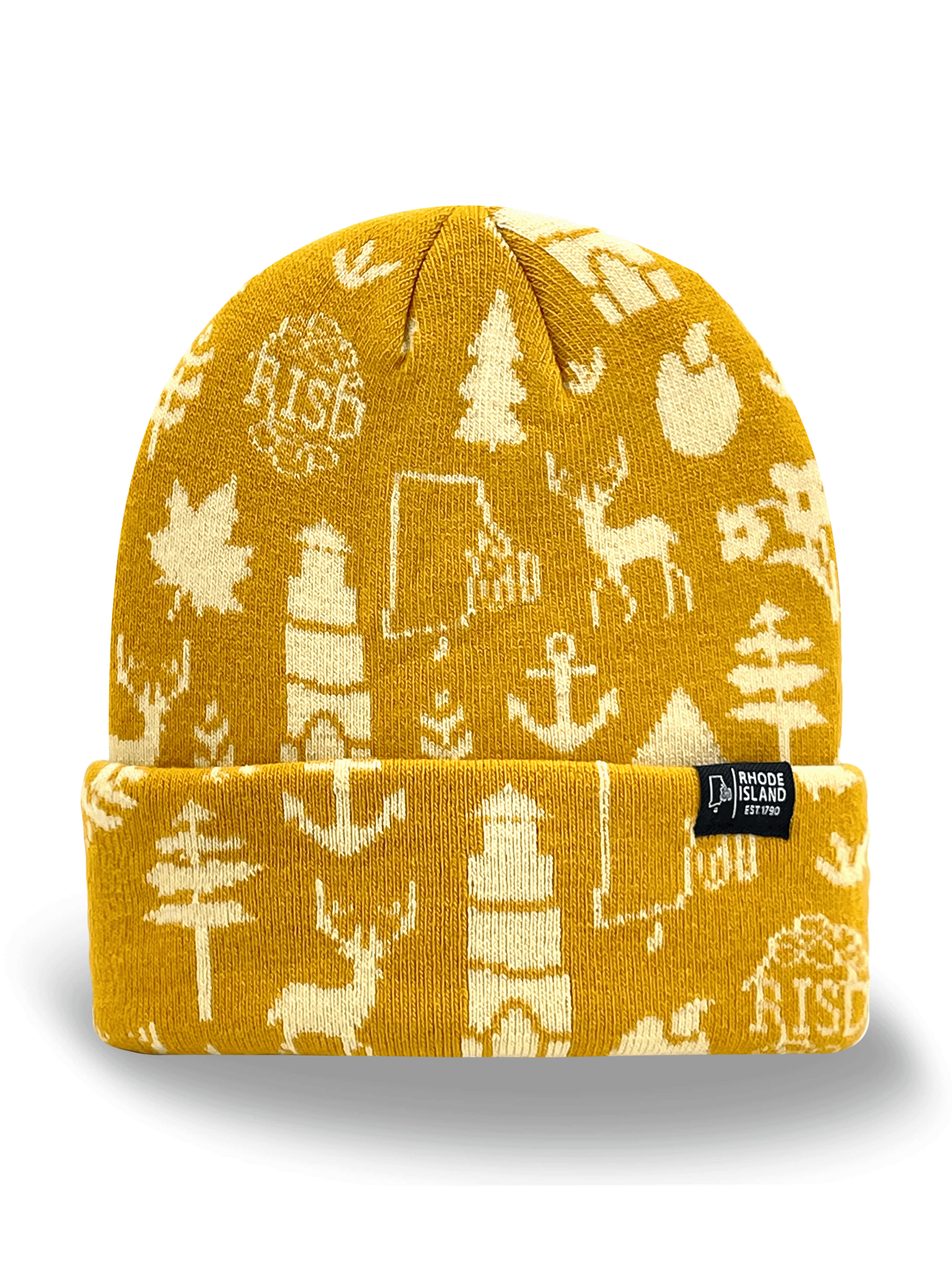 Rhode Island Icons Knit Beanie